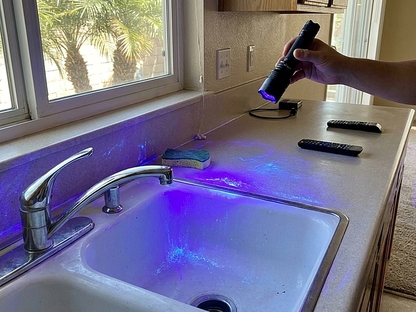 Could Hidden Bacteria Be Lurking in Your Anaheim Home?