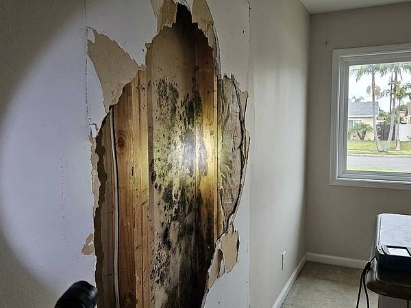 Could Your Anaheim Home Have Mold Behind Its Walls?