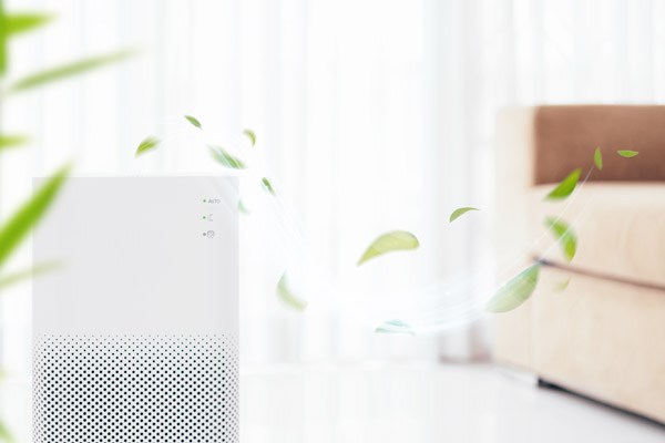 Bacteria Testing Services